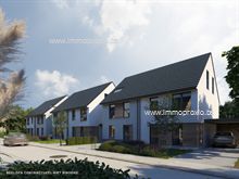 4 Maisons neuves a vendre à Zwevegem
