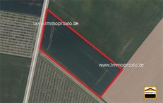 Landbouwgrond te koop in Sint-Truiden