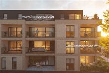 Nieuwbouw Project te koop in Beveren-Waas