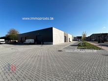 Industriel neufs a vendre à Dentergem